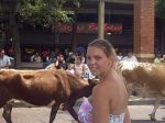Wife and Cows